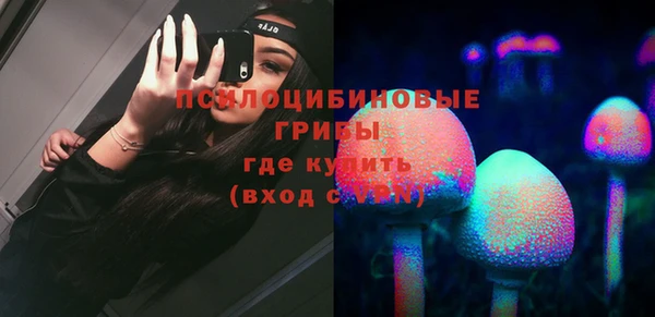 PSILOCYBIN Баксан