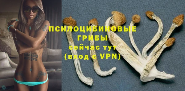 PSILOCYBIN Баксан