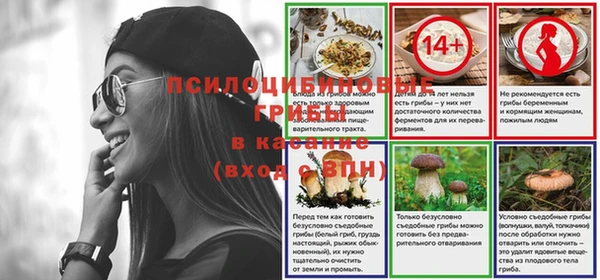 PSILOCYBIN Баксан