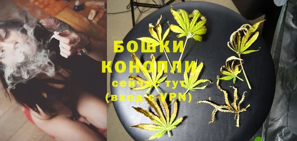 PSILOCYBIN Баксан