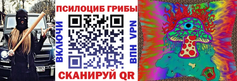 кракен зеркало  Кушва  Галлюциногенные грибы ЛСД 